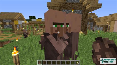 villager spawn egg command.